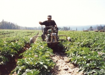 A Prince George potato farmer for over 70 years, John Ryser once won the potato section of the BC Provincial Seed Fair for thirteen years in a row.